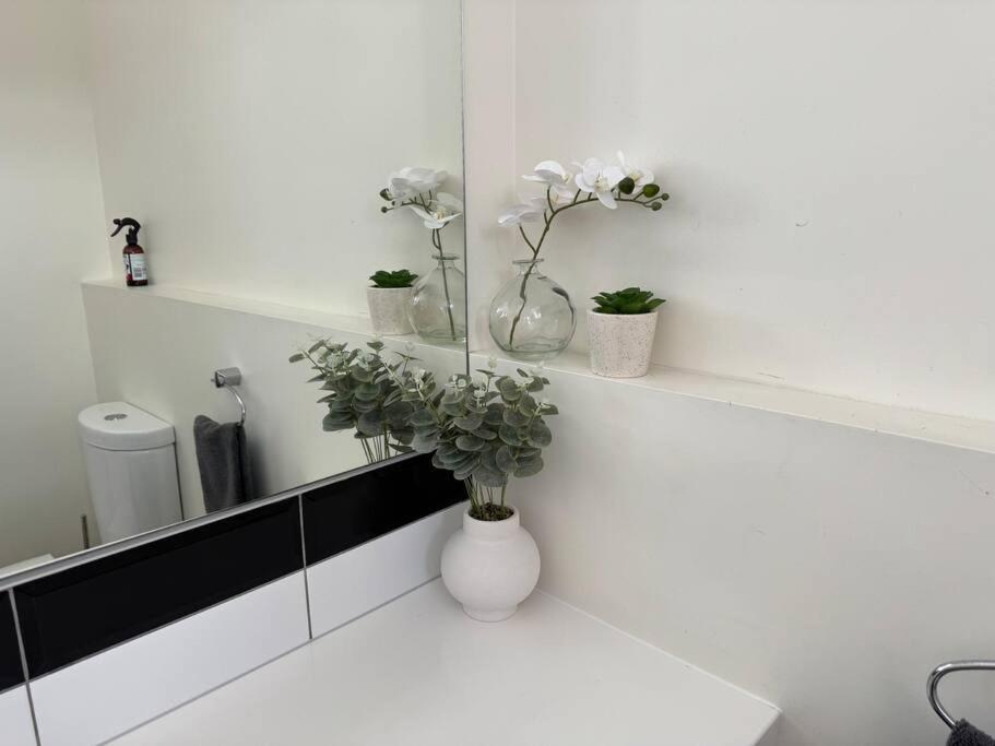 4 Large Bedroom Apartment In The City Hastings Exterior photo